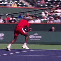 Indian Wells Love GIF by Tennis TV