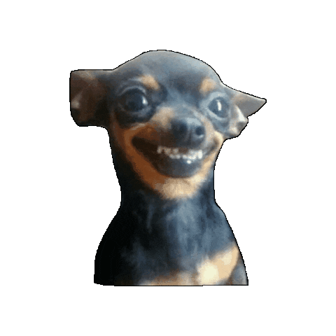 Dog Smile Sticker