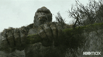 King Kong Fight GIF by Max
