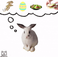 Thinking Rabbit GIF