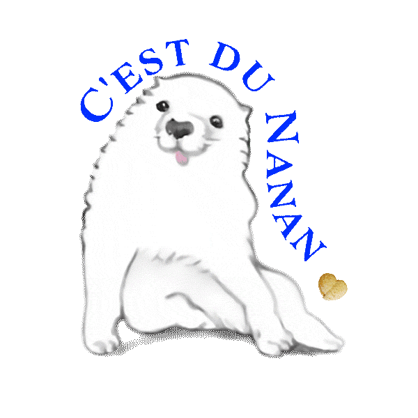C'est du NANAN Sticker