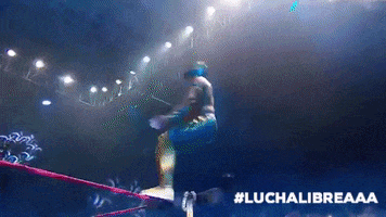 triple a mexico GIF by Lucha Libre AAA
