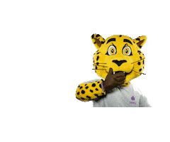 Mascots Mynwu Sticker by NWU Social