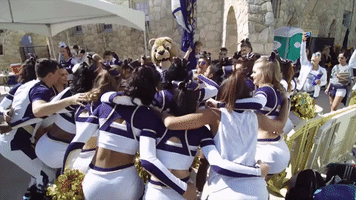 fiupanthers fiudazzlers GIF by FIU