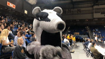uc irvine peter the anteater GIF by UCI Athletics