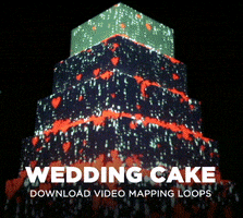 wedding cake GIF by limeartgroup