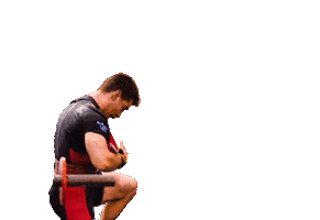 Powerlifting zveza Slovenije (PLZS) - Slovenian Powerlifting Federation Sticker