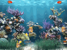Sea GIF