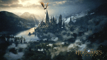 Harry Potter School GIF by WBGames