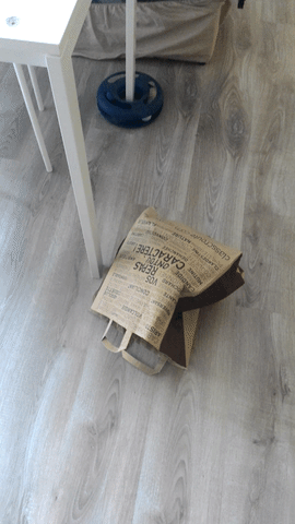 marianne258hotmailfr cat ivy merenoth GIF