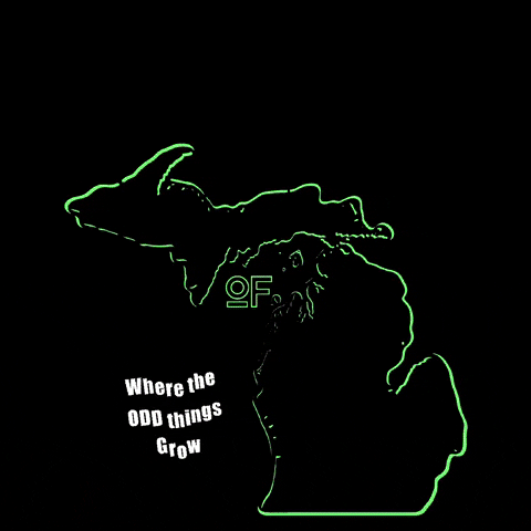 Michigan Mi GIF by Odd Forest Smoke Wear