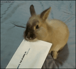 mail GIF