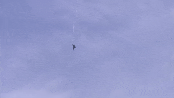 Fly Flying GIF by Safran