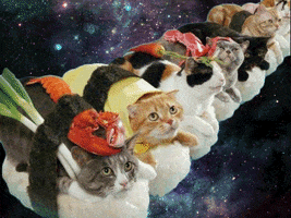 space cat love GIF