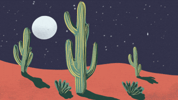Desert GIF