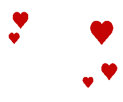 Bow Sticker by Destin Charity Wine Auction Foundation