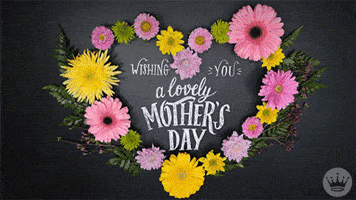 Stop Motion Flowers GIF by Hallmark Gold Crown