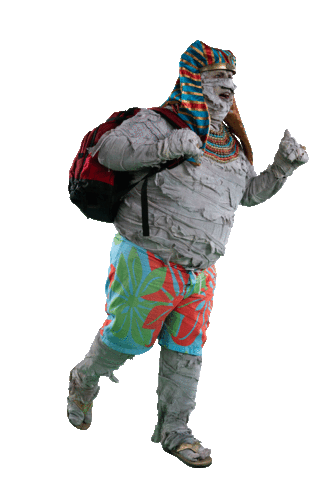 Feliz Viajar Sticker