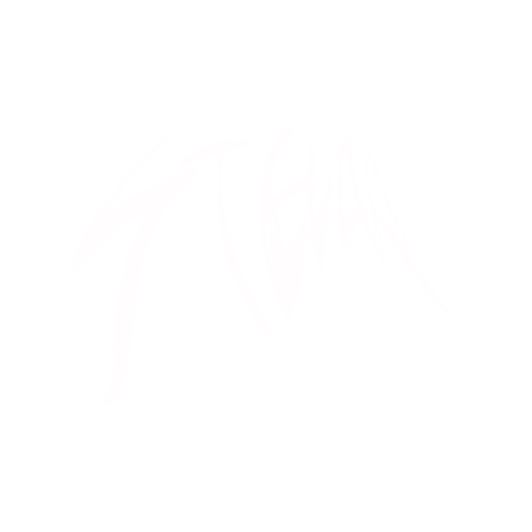 Stelar Sticker