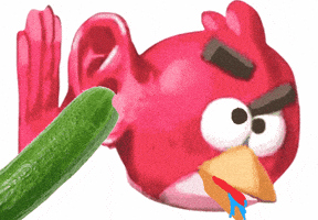 Hear Angry Birds GIF