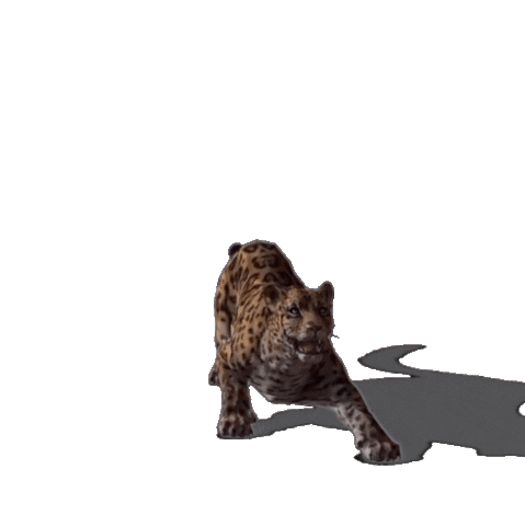 Desarrollo Territorial y Ambiente Sticker