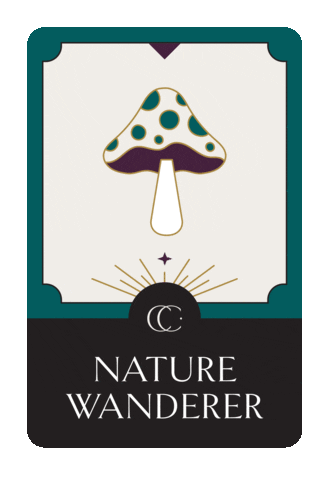 Naturewanderer Sticker by Celestial Closet