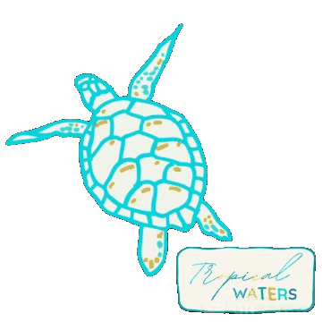 Sea Turtle Ocean Sticker by Tropical Waters