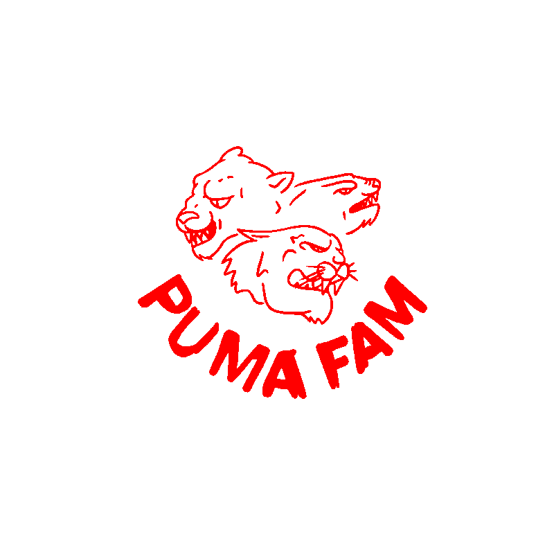 puma football logo