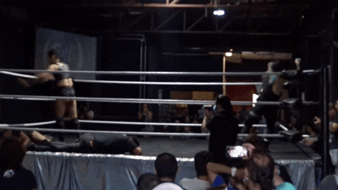 Wrestling GIF - Find & Share on GIPHY