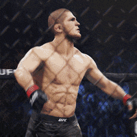 conor mcgregor fight GIF by EA SPORTS UFC