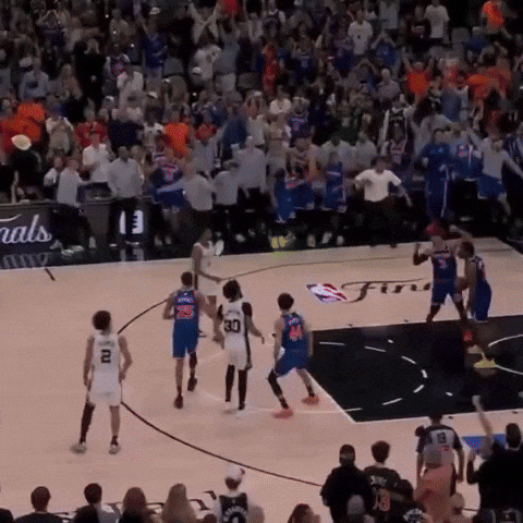 Nba Finals GIF