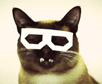Dj-cats GIFs - Get the best GIF on GIPHY