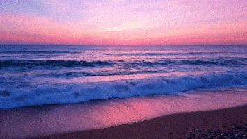 Beach Sunset GIF by The Prepared Performer
