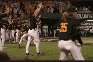 Celebration GIF