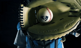 The Citadel Bulldogs GIF