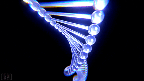 Two strands of DNA exposed by the Human Genome Project