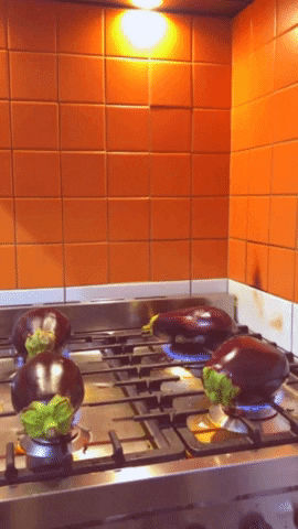 Free to Feed GIF