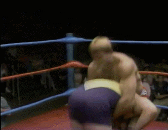 Wwe GIF