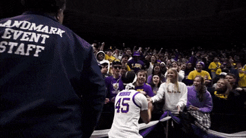 Happy March Madness GIF by LSU Tigers