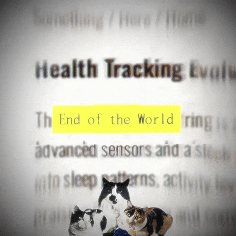 Cat GIF