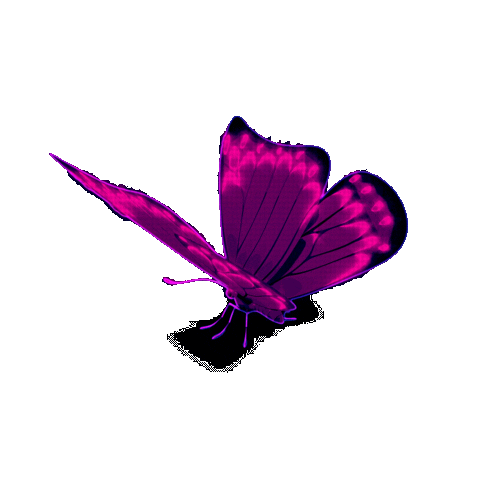 Pink Butterfly Sticker by Shaylen