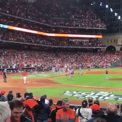 World Series GIF by Storyful