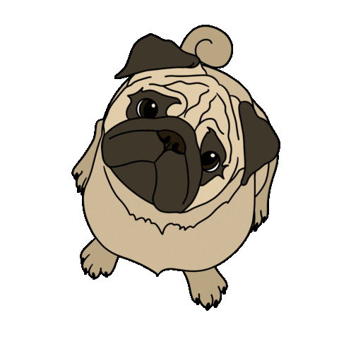 Pra Sticker by Pug Rescue of Austin