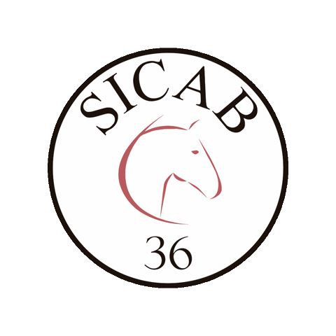 Sicab Sticker by ANCCE Oficial