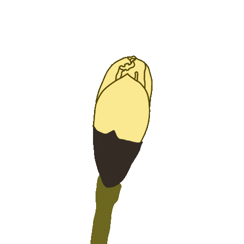 Flower Sticker