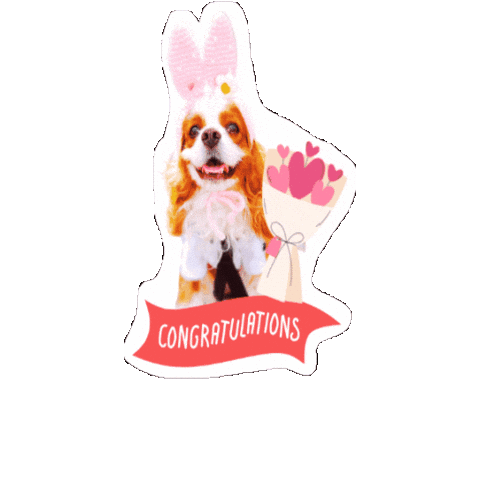 Birthday Cavalierkingcharlesspaniel Sticker