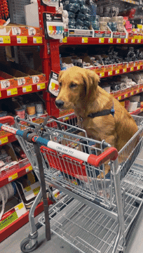 First Things First Coffee GIF