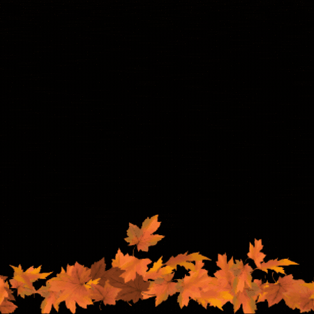 Musincantus | Autunno Musicale | CortinAteatro GIF