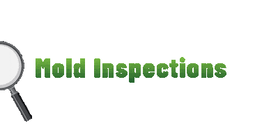 Nuresto Enviromental Sticker