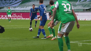 Omar Mascarell Football GIF by FC Schalke 04